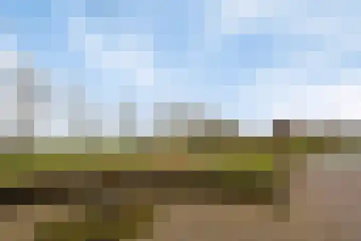 Meester de Groetlaan 3 's-Hertogenbosch thumbnail 48