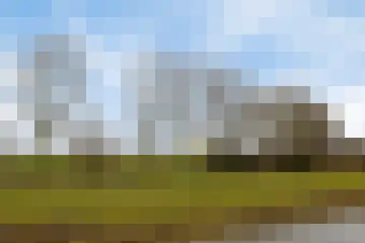 Meester de Groetlaan 3 's-Hertogenbosch thumbnail 49