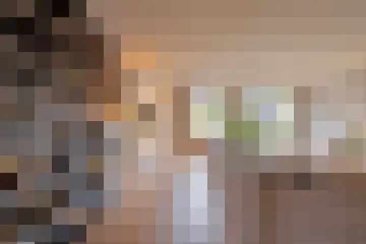 Meester de Groetlaan 3 's-Hertogenbosch thumbnail 5