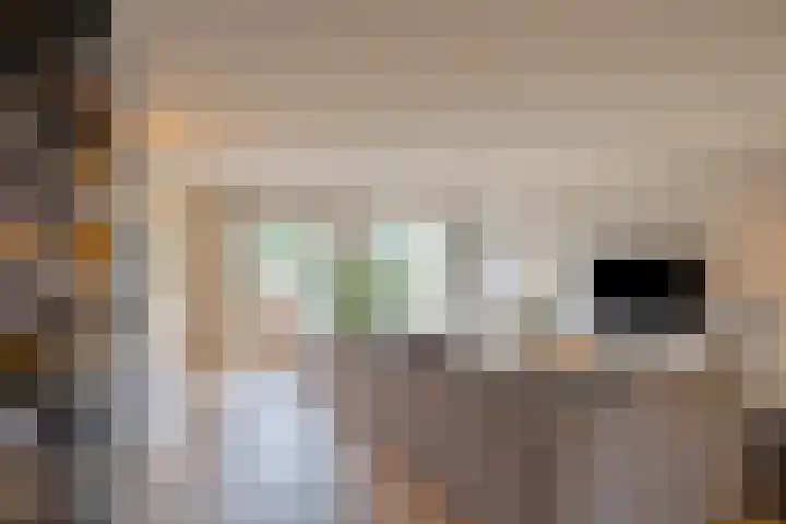Meester de Groetlaan 3 's-Hertogenbosch thumbnail 6