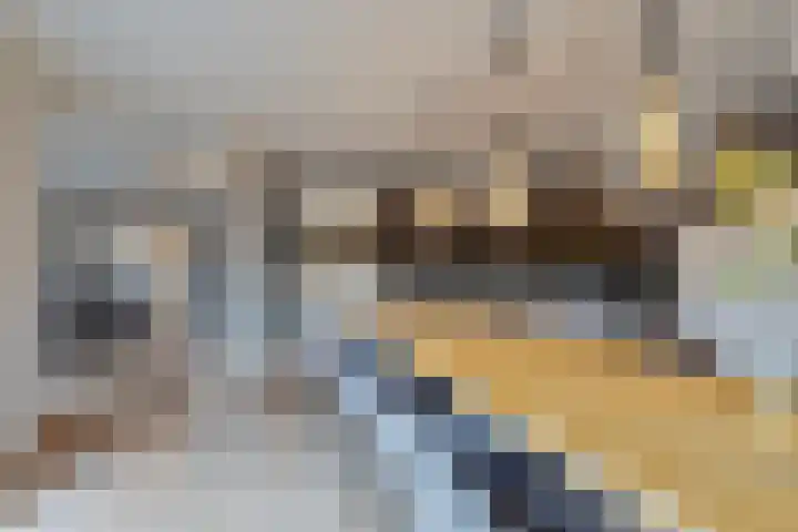 Meester de Groetlaan 3 's-Hertogenbosch thumbnail 7