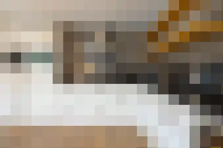 Meester de Groetlaan 3 's-Hertogenbosch thumbnail 8