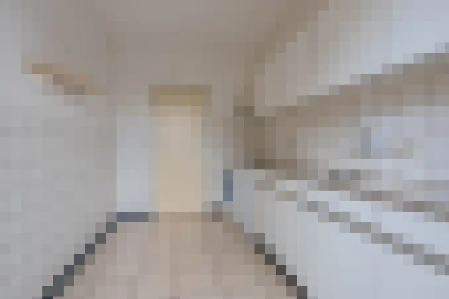 Meester de Haanstraat 5 Leunen thumbnail 10