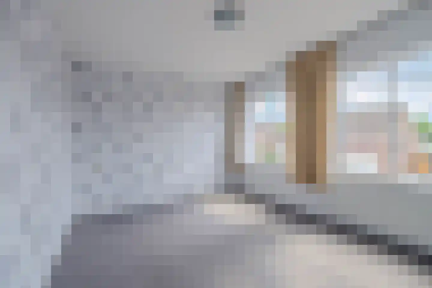 Meester de Haanstraat 5 Leunen thumbnail 12