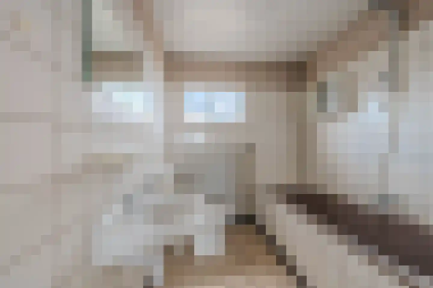 Meester de Haanstraat 5 Leunen thumbnail 17