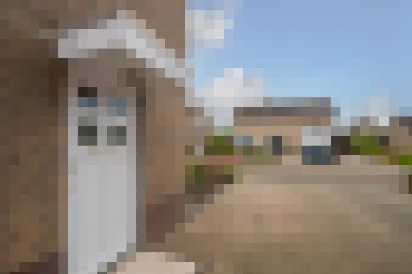 Meester de Haanstraat 5 Leunen thumbnail 30