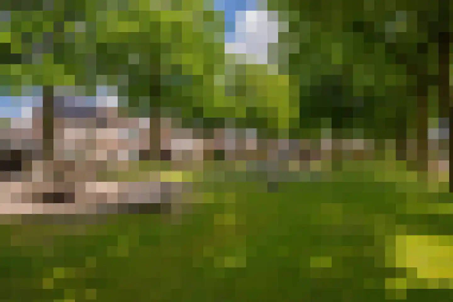 Meester de Haanstraat 5 Leunen thumbnail 36