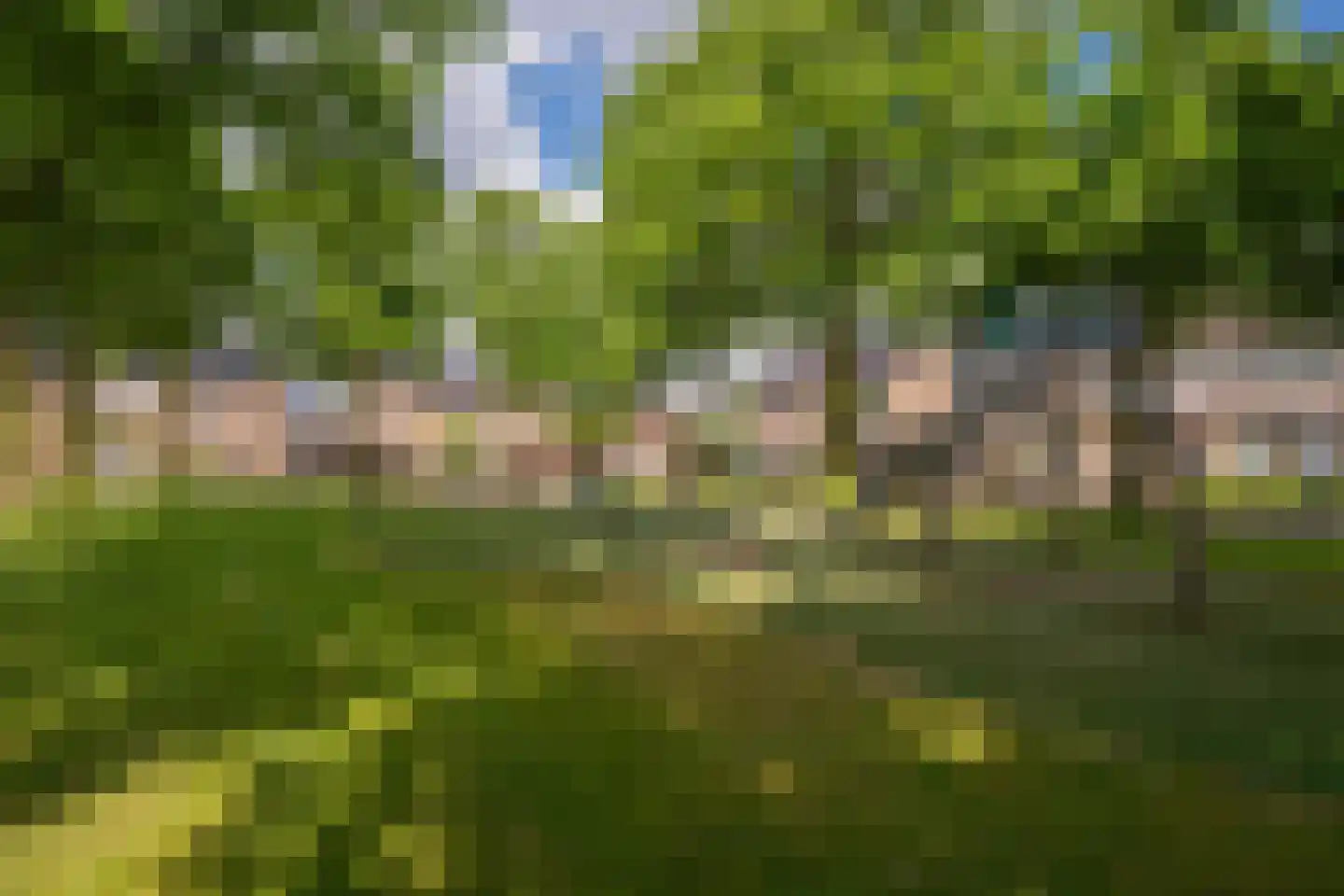 Meester de Haanstraat 5 Leunen thumbnail 37