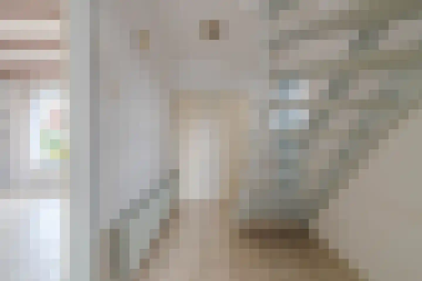 Meester de Haanstraat 5 Leunen thumbnail 4