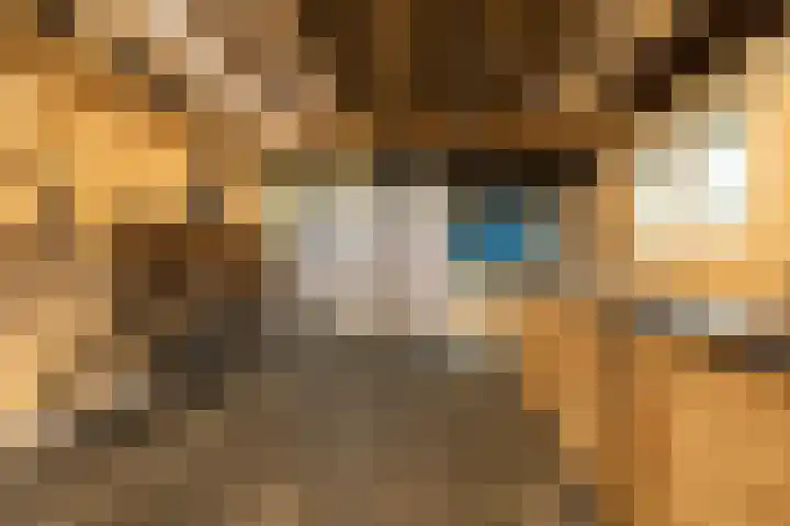 Meester de Vriesstraat 31 Witmarsum thumbnail 36