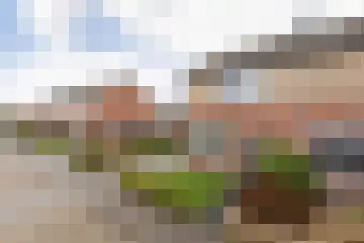 Meester de Vriesstraat 31 Witmarsum thumbnail 41