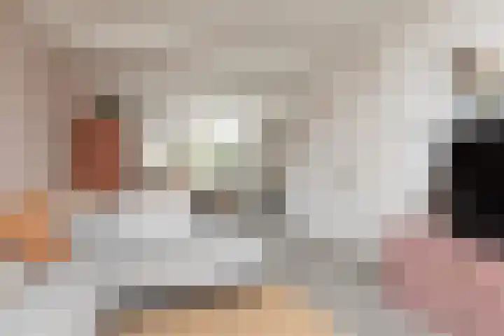 Meester de Vriesstraat 31 Witmarsum thumbnail 7