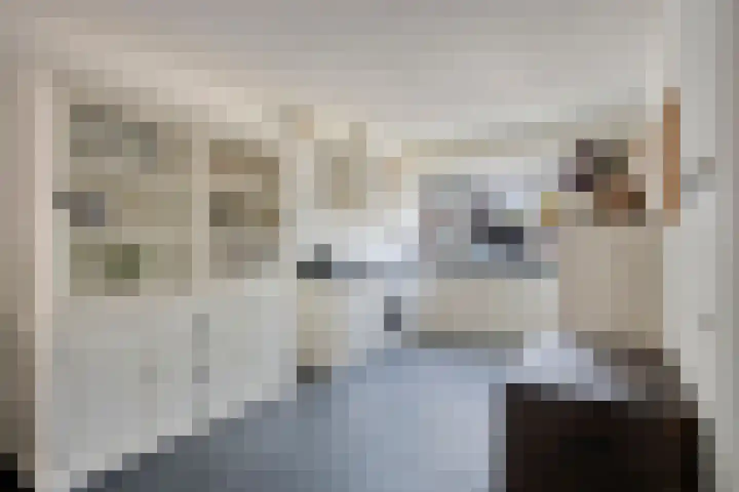 Meester de Weertstraat 19 Oirschot thumbnail 15