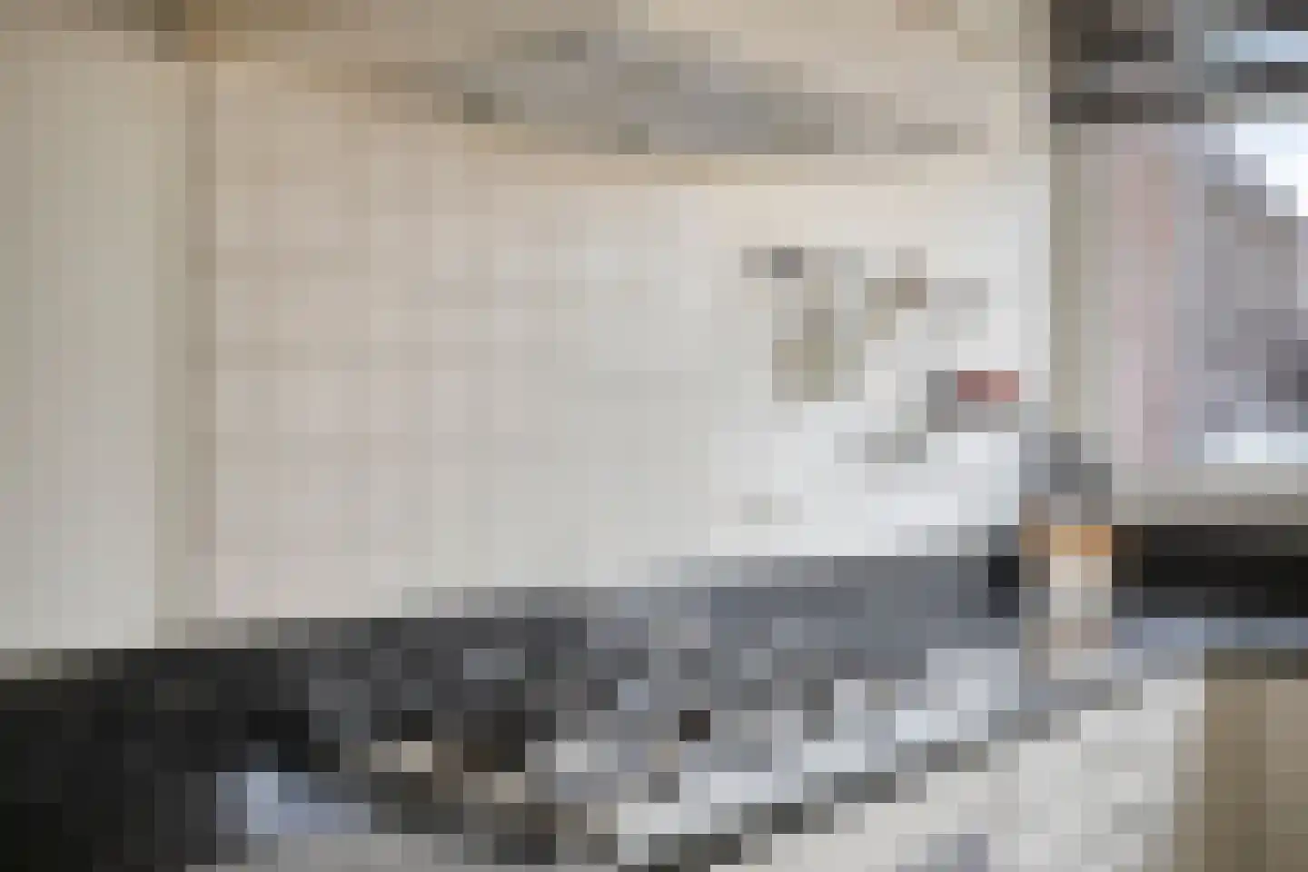 Meester de Weertstraat 19 Oirschot thumbnail 16