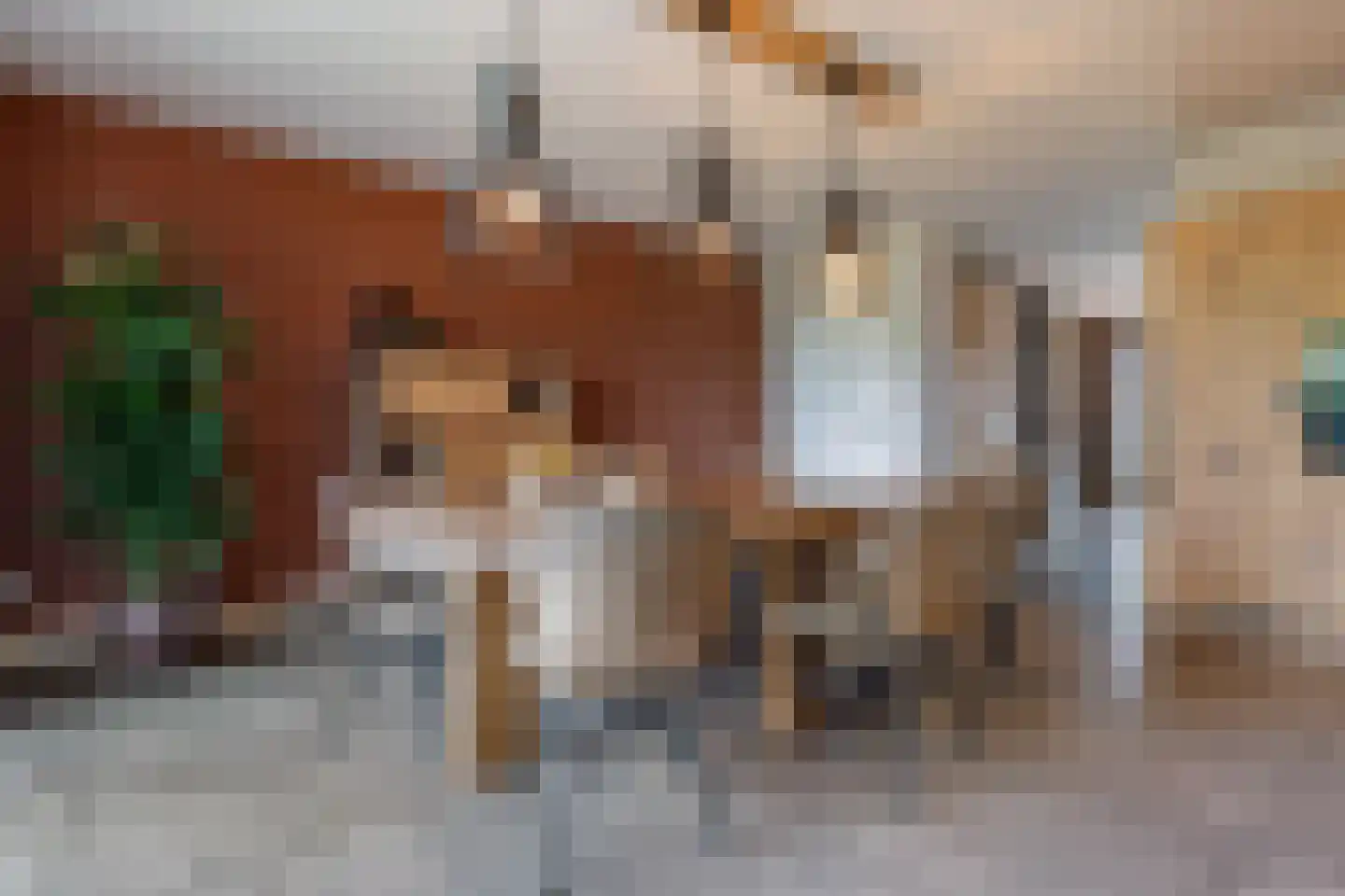 Meester de Weertstraat 24 A Oirschot thumbnail 10