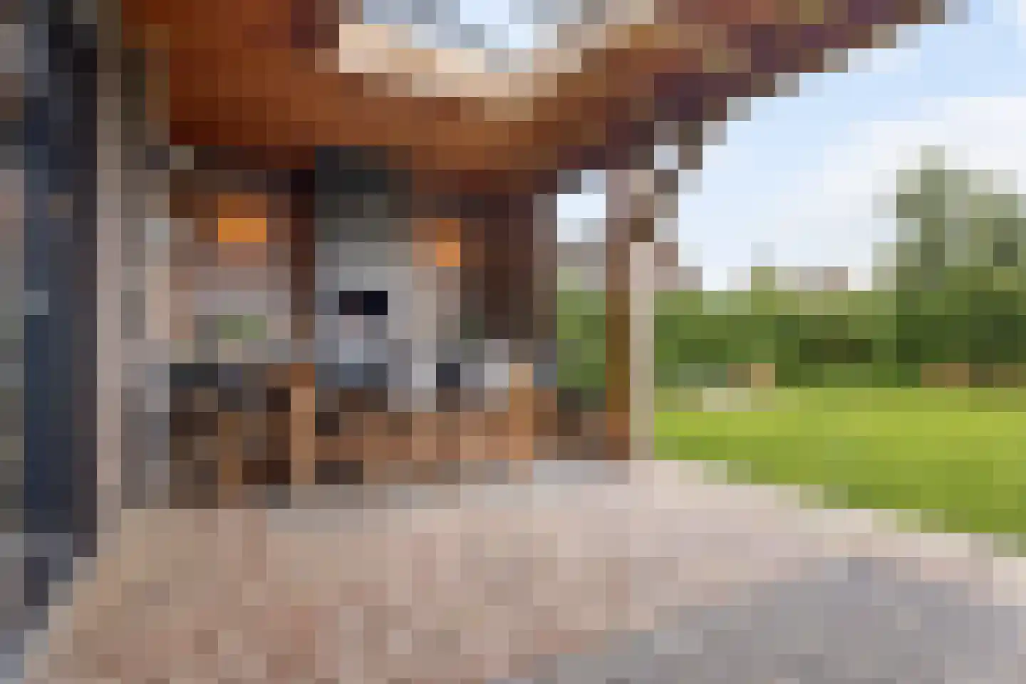 Meester de Weertstraat 24 A Oirschot thumbnail 34