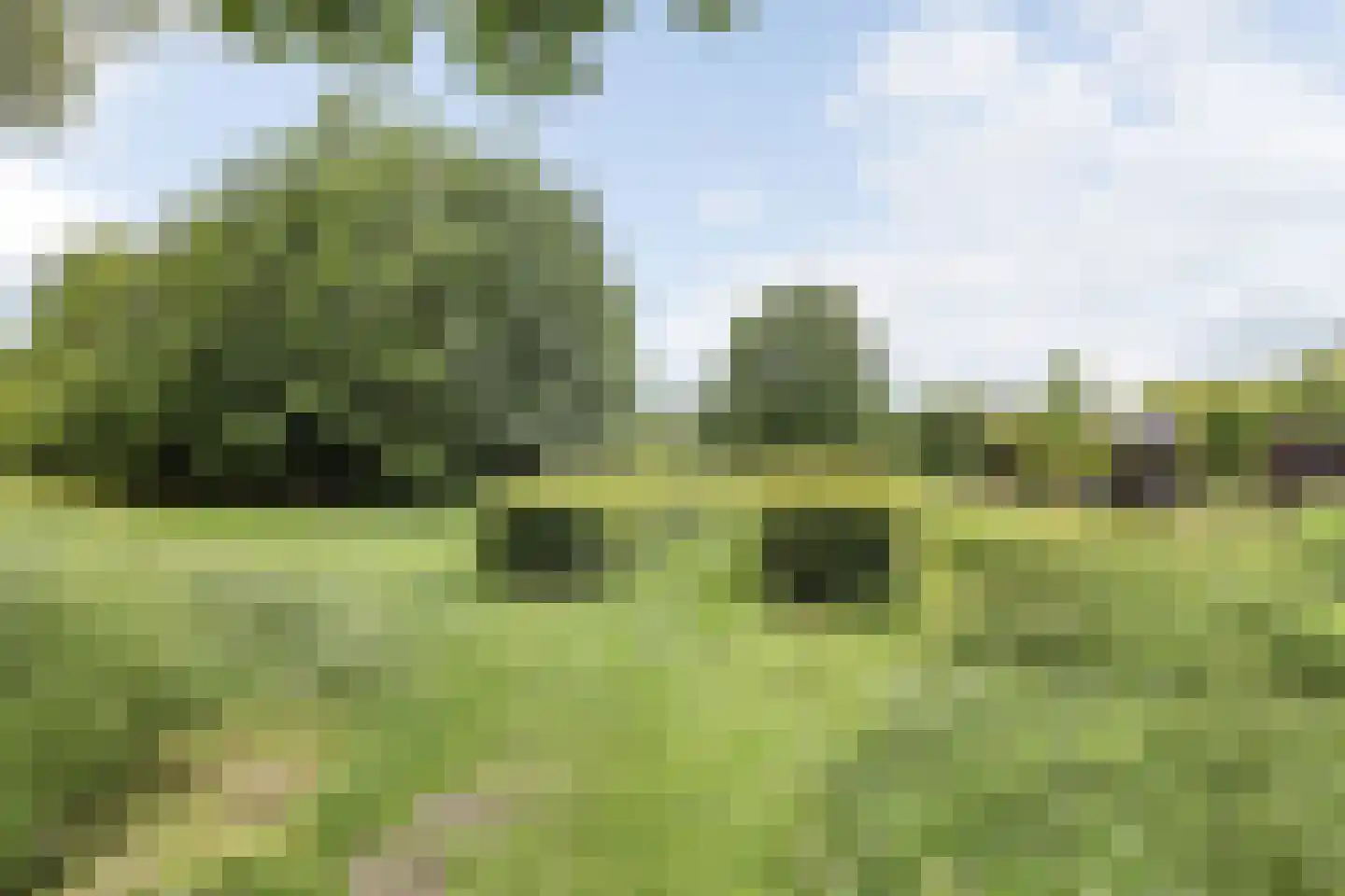 Meester de Weertstraat 24 A Oirschot thumbnail 42