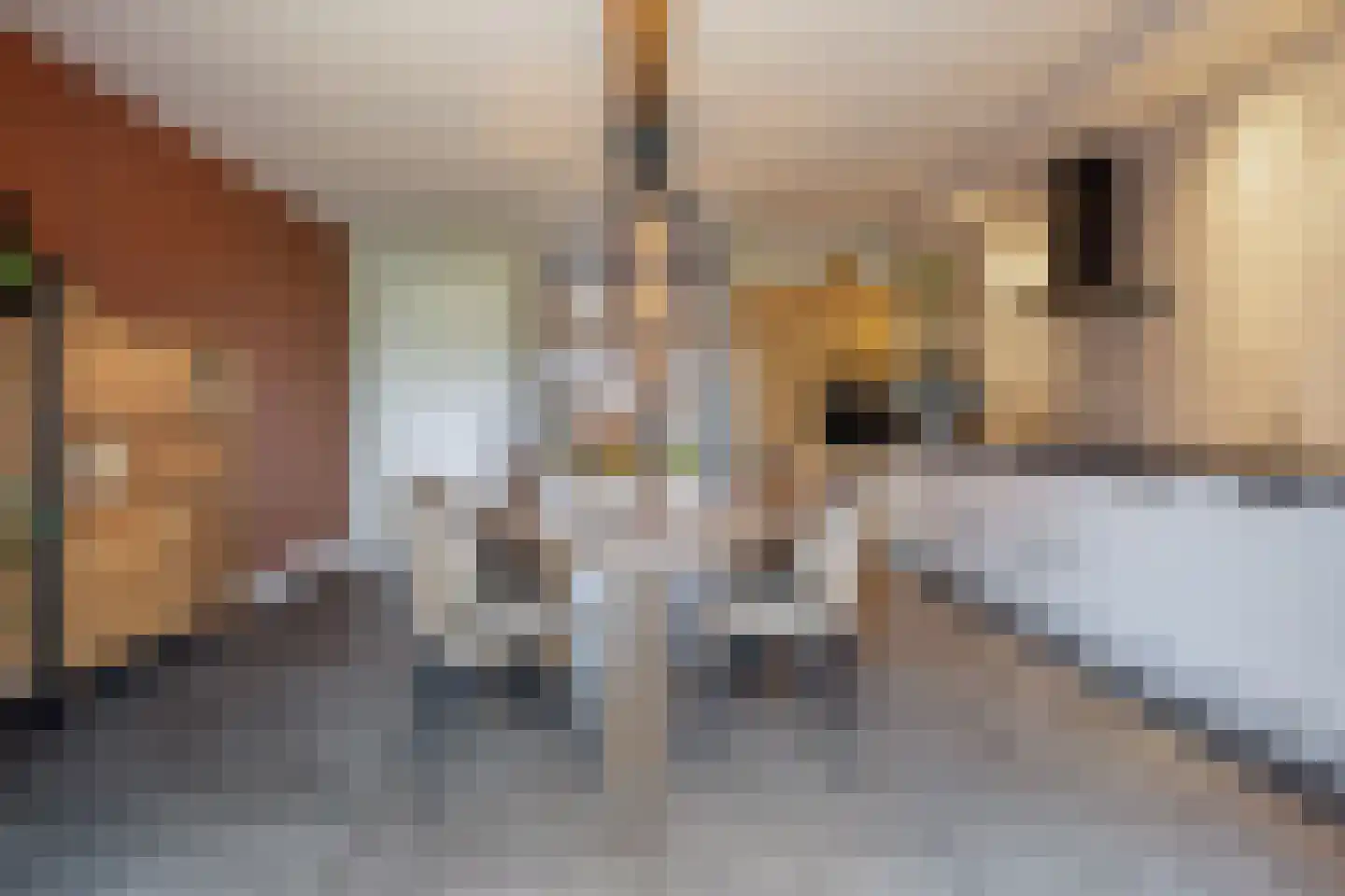 Meester de Weertstraat 24 A Oirschot thumbnail 9