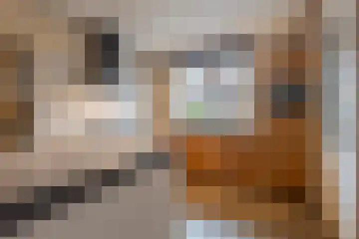 Meester de Weertstraat 25 Oirschot thumbnail 11