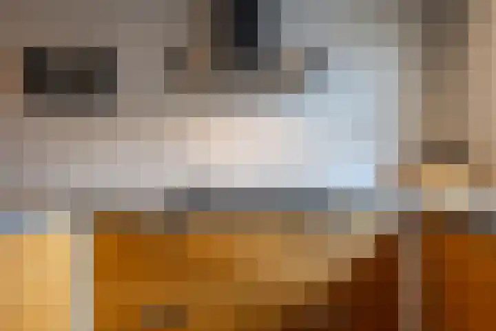 Meester de Weertstraat 25 Oirschot thumbnail 13