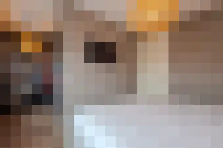Meester de Weertstraat 25 Oirschot thumbnail 15