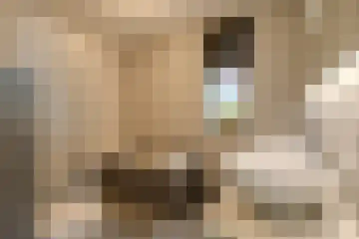 Meester de Weertstraat 25 Oirschot thumbnail 18