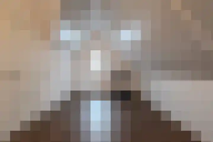 Meester de Weertstraat 25 Oirschot thumbnail 21