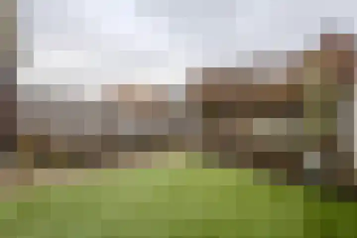 Meester de Weertstraat 25 Oirschot thumbnail 24