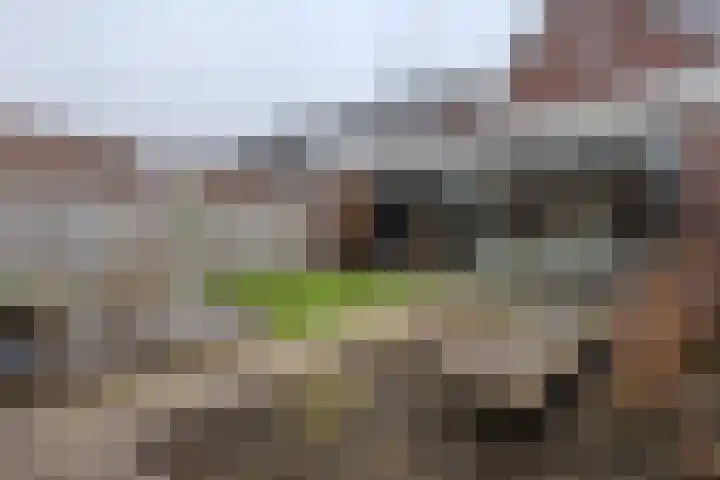 Meester de Weertstraat 25 Oirschot thumbnail 26