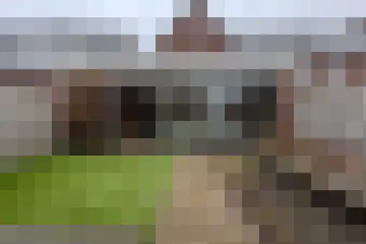 Meester de Weertstraat 25 Oirschot thumbnail 27