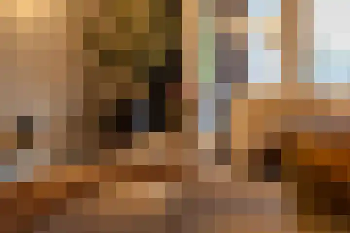Meester de Weertstraat 25 Oirschot thumbnail 8