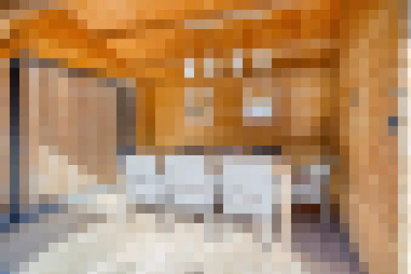 Meester de Weertstraat 33 Oirschot thumbnail 34
