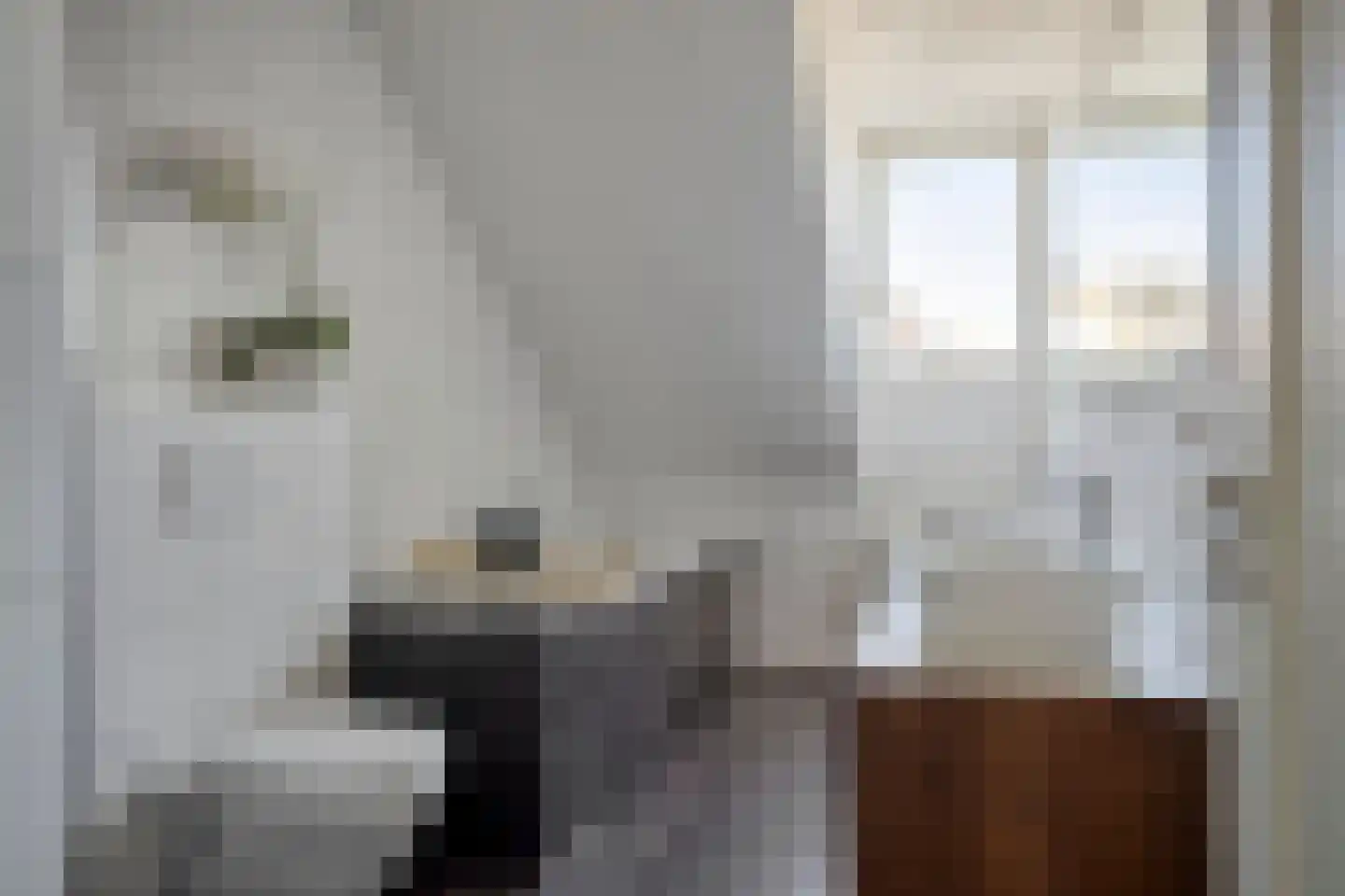 Meester de Weertstraat 33 Oirschot thumbnail 5