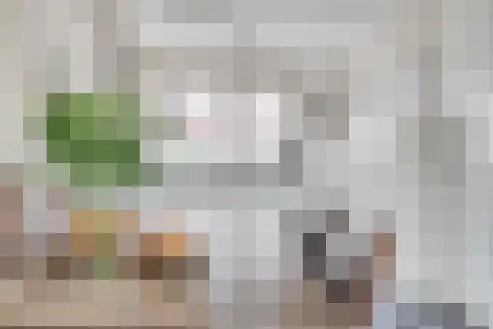 Meester de Weertstraat 4 Oirschot thumbnail 14
