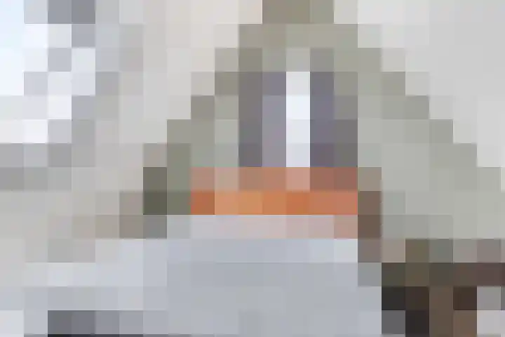 Meester de Weertstraat 4 Oirschot thumbnail 29