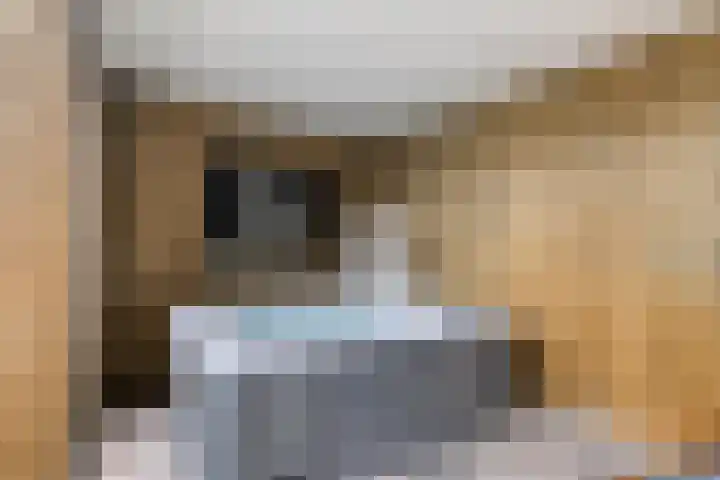 Meester de Weertstraat 4 Oirschot thumbnail 35