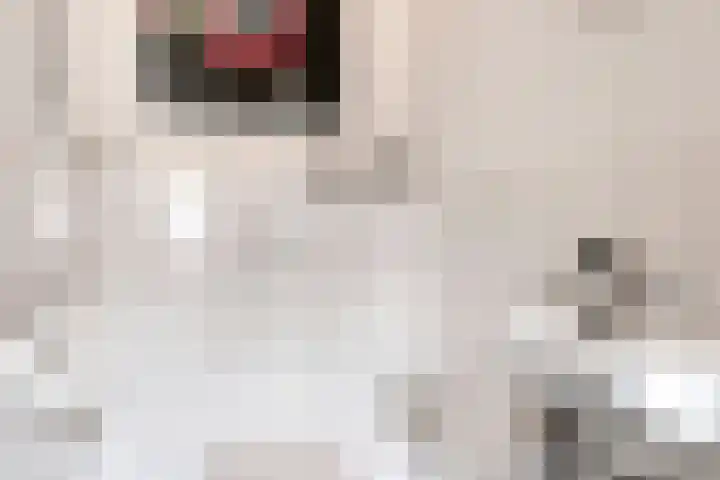 Meester de Weertstraat 4 Oirschot thumbnail 8