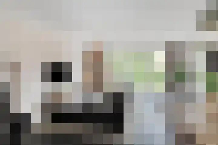 Meester de Weertstraat 4 Oirschot thumbnail 9