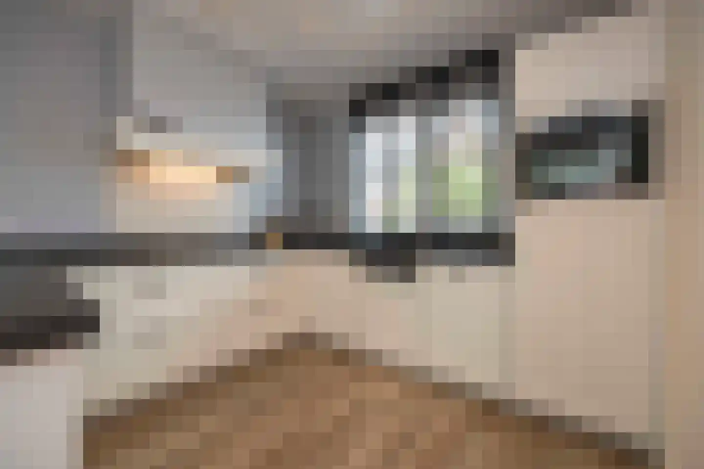 Meester de Weertstraat 7 Oirschot thumbnail 16