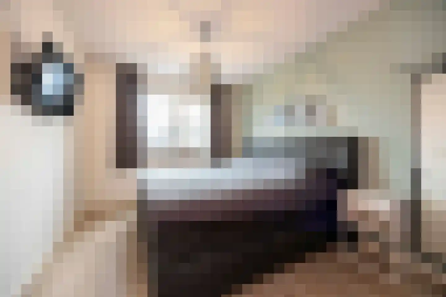 Meester de Weertstraat 7 Oirschot thumbnail 20