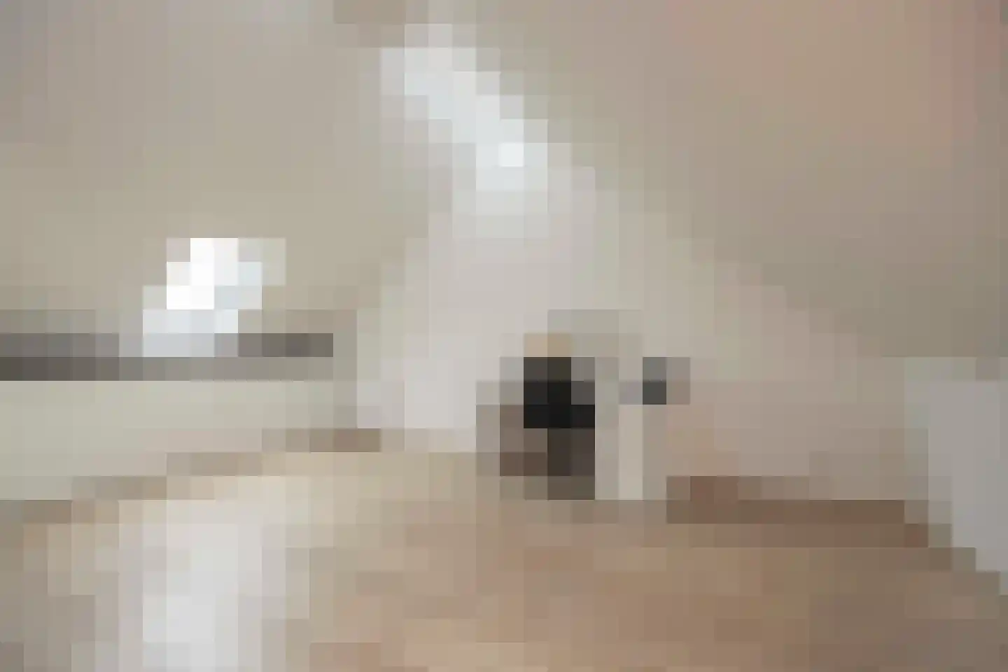 Meester de Weertstraat 7 Oirschot thumbnail 27