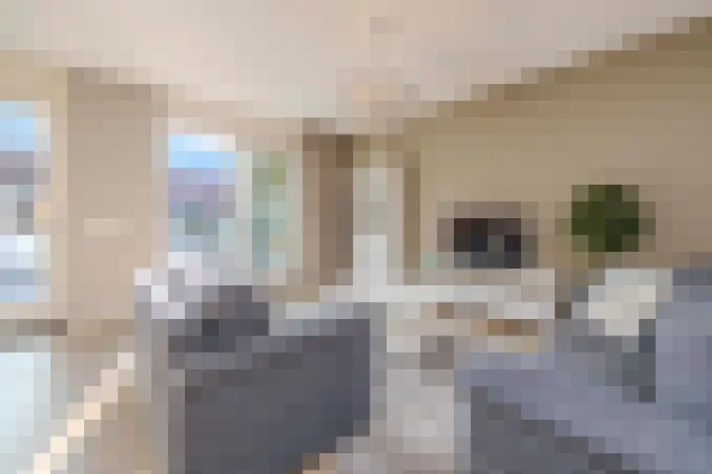 Meester de Weertstraat 9 Oirschot thumbnail 12