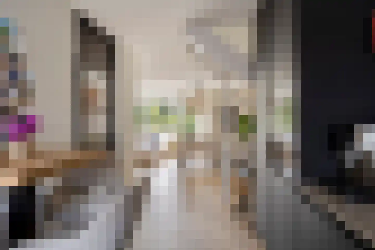 Meester De Wolfplein 5 Enschede thumbnail 15