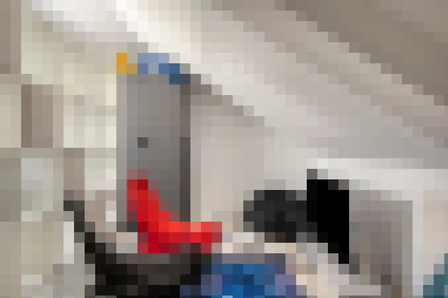 Meester De Wolfplein 5 Enschede thumbnail 30