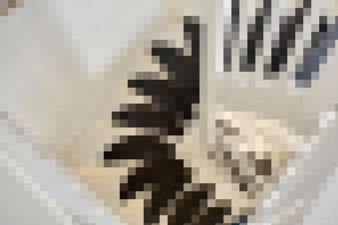 Meester De Wolfplein 5 Enschede thumbnail 32