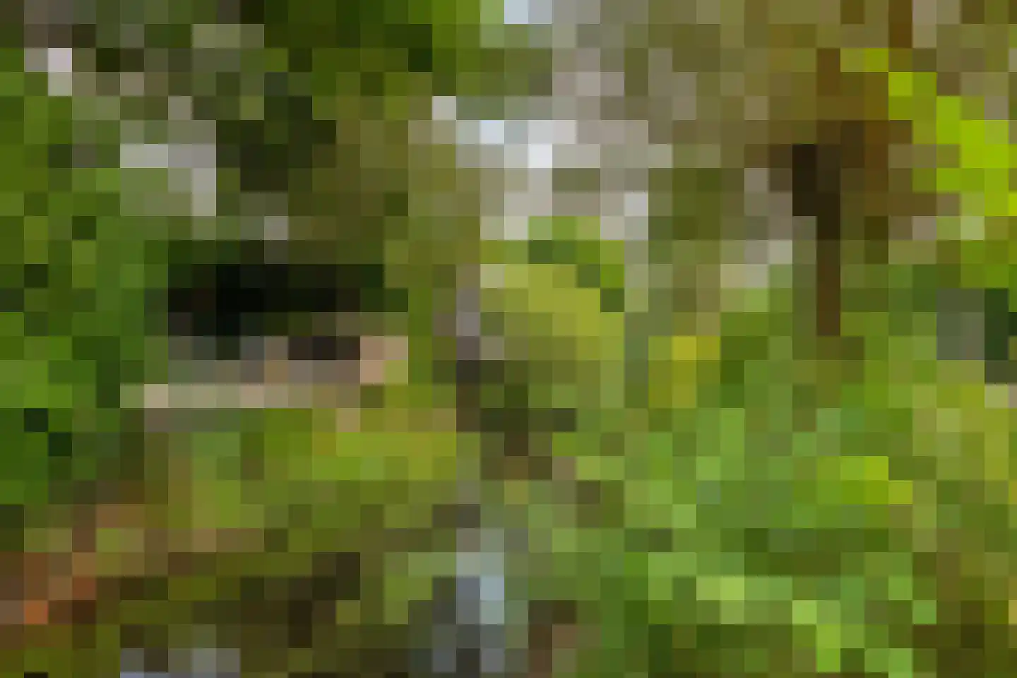 Meester De Wolfplein 5 Enschede thumbnail 37