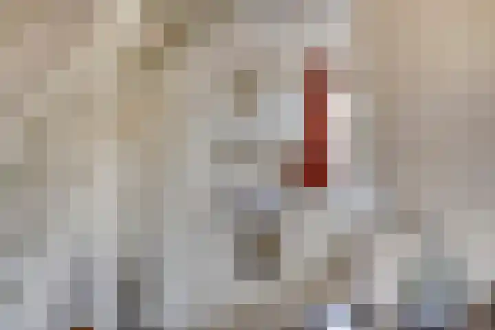 Meester De Wolfplein 6 Enschede thumbnail 15