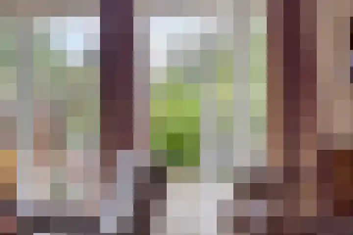 Meester De Wolfplein 6 Enschede thumbnail 19