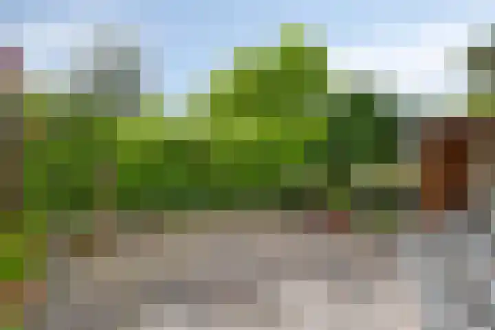 Meester De Wolfplein 6 Enschede thumbnail 26