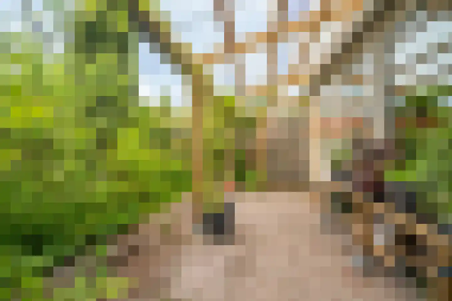 Meester De Wolfplein 8 Enschede thumbnail 31